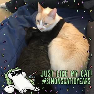 Meet your Posher, Nanna